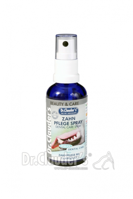 DC Beauty&Care Zahn Pflegespray