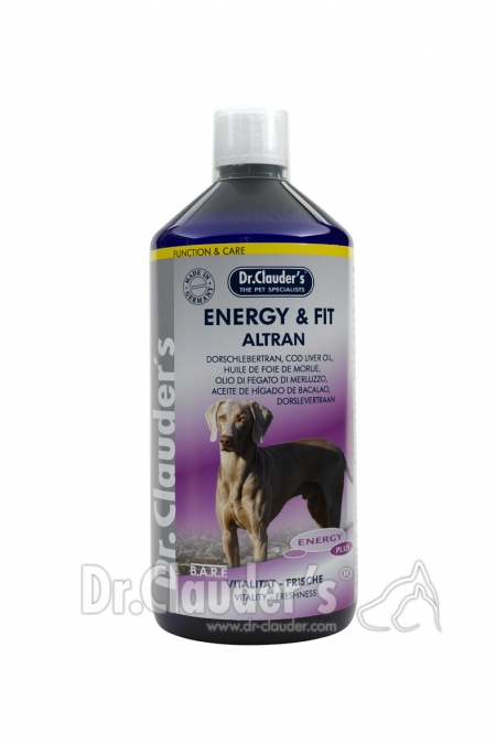 DC-Energy-plus-EnergyFit-Altran